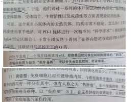 EGFR靶点病人，到底适不适合免疫治疗（讨论）