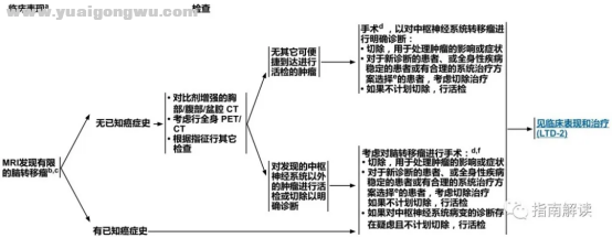 中枢神经系统肿瘤3504.png